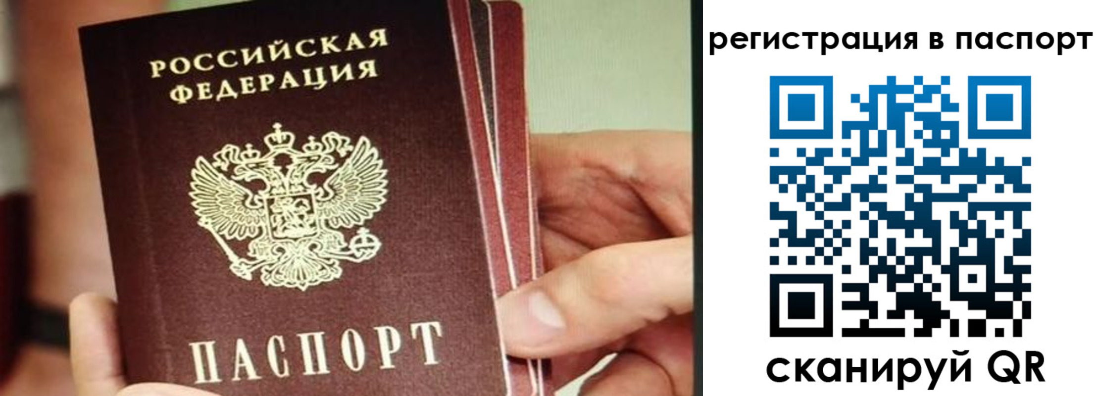 временная регистрация надежно в Всеволожске